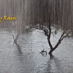 Bombay Rain, Part II
