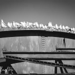 Bridges